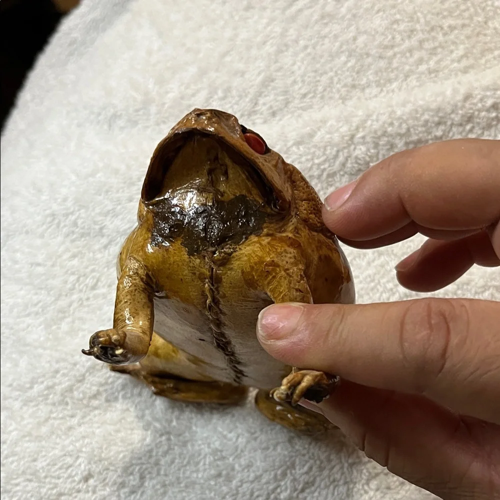 Realistic Brown Toad Ornament for Reptile Enclosures